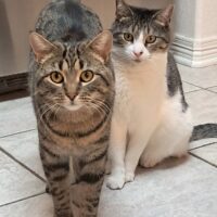 Atlas & Nela