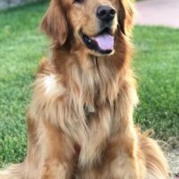 Bailey Bogner