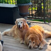 Charlie and Madeline