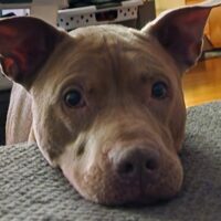 Kilo