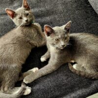 Newt and Bishop - Copy