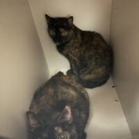 Peanut Butter and Freya - Copy (3)